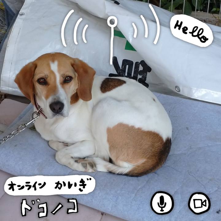 05586f17 e062 4e0a aa44 e01370df81c6 1593747871498