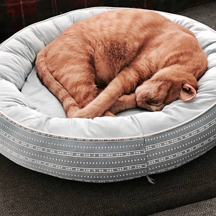 0558a32e f7fe 4a77 9196 f0e27c16ff36 1589880000161