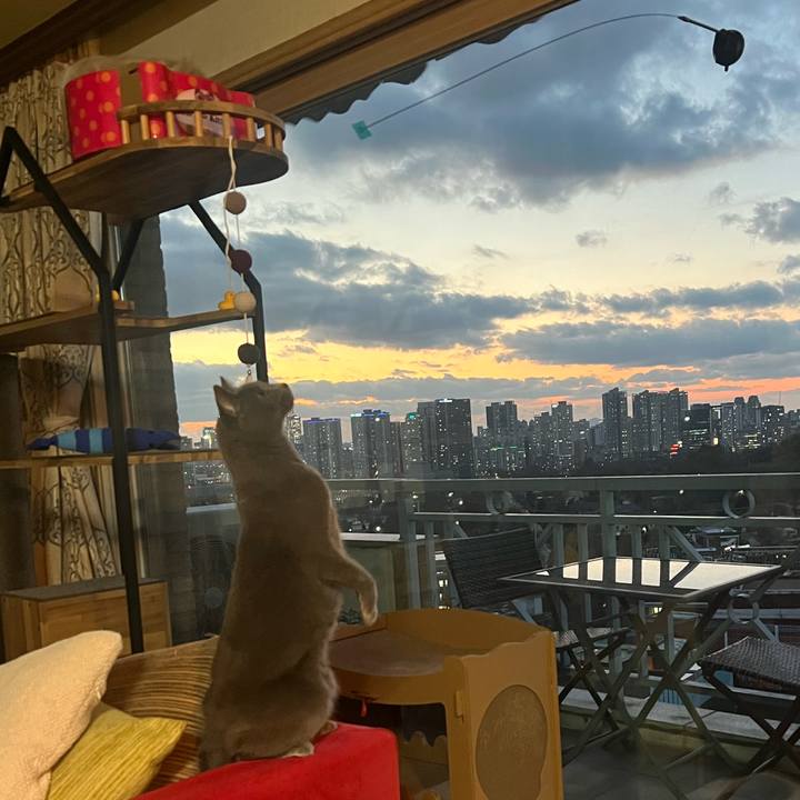 0558ee55 8755 4dfc acf8 823ba6afde6f 1700463531209