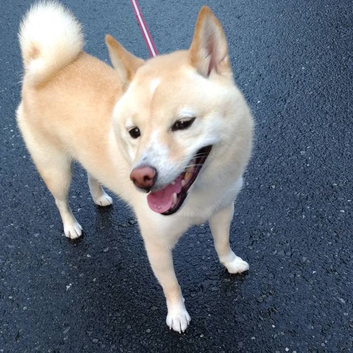 0558eef1 eb75 4ee8 b47e 10625a37e881 1599084771914