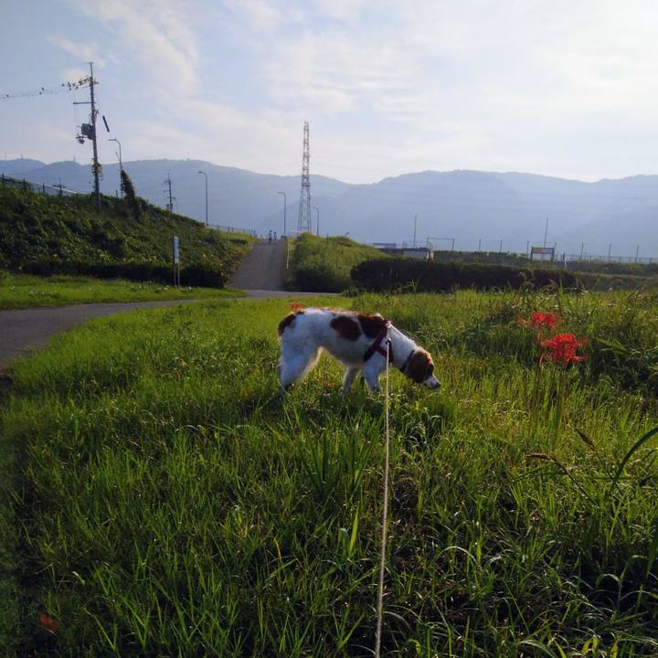 05590b21 cd9b 49b5 99ed fbf59bea2ff7 1537242306909