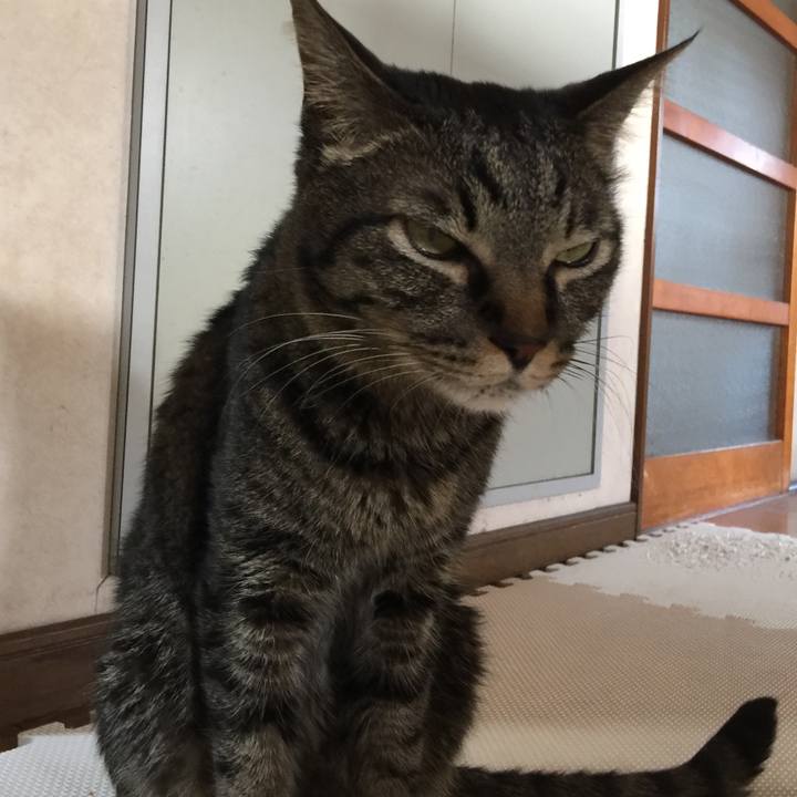 05591288 4974 498d b6c9 f4f5731c95f6 1533076469753