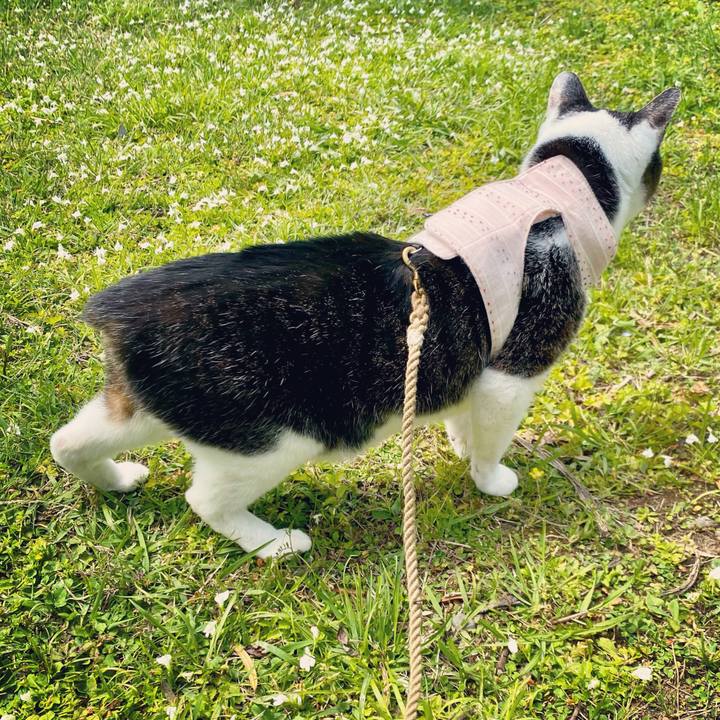 05597c0a cbfd 44cf b1d3 491ea62aa0f8 1619329514099