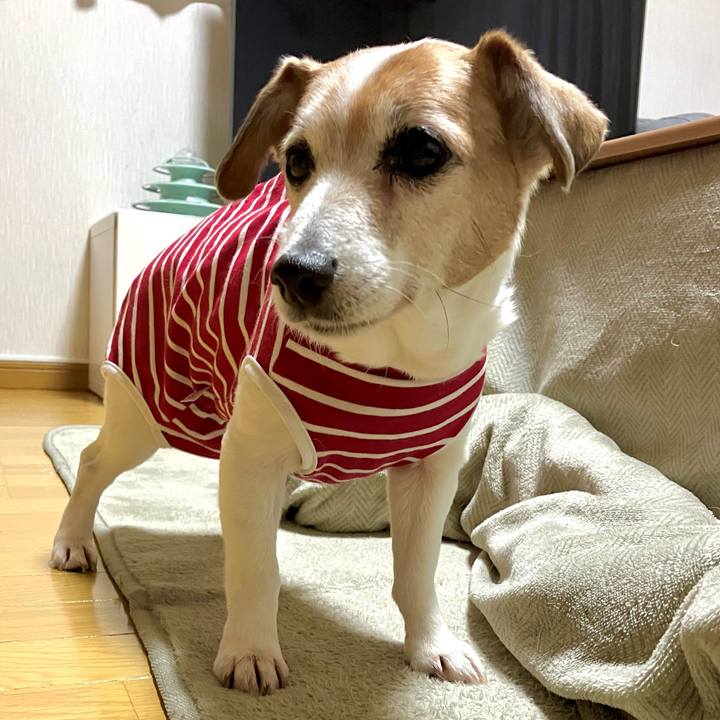 055997ad 8074 4bad 8742 9ec5ecb89a8e 1709736115580