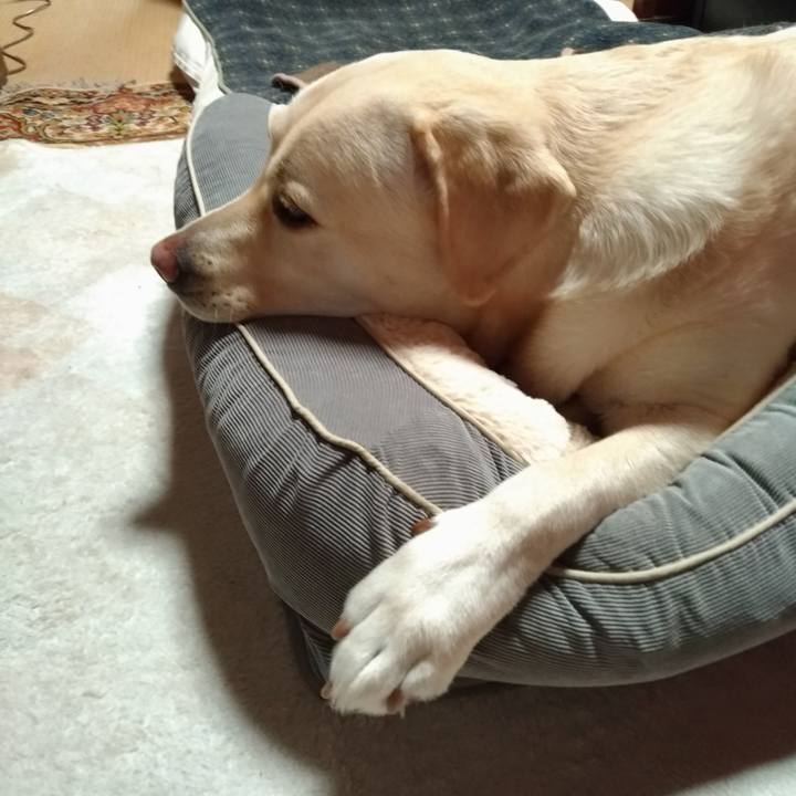 0559bfd0 6c4e 4e98 a51d 6bbe52fe0fb2 1574857200566