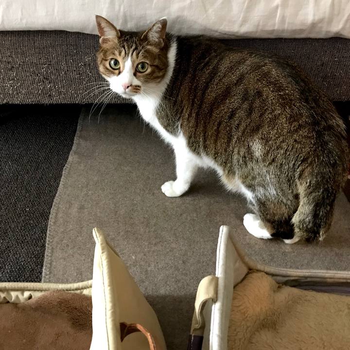 0559c5ee 884a 4dfe 8902 3185eeb4a045 1548656302959