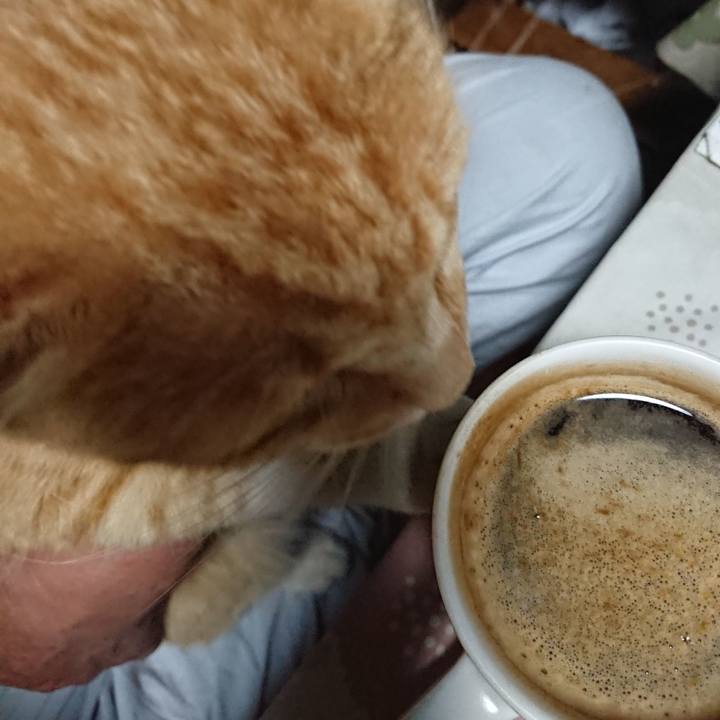 0559cfd2 a213 4aac 8482 f3843e00a7d4 1592163341392