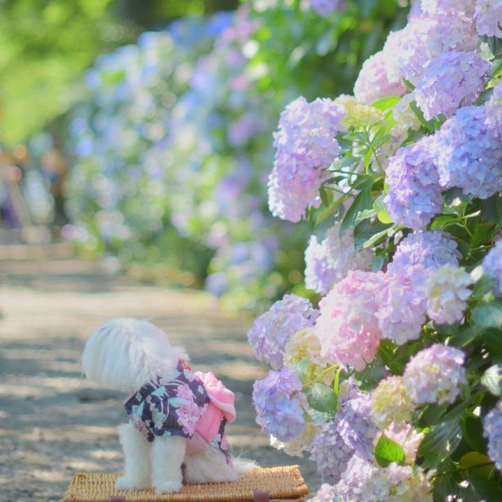 0559d21b ce36 4abf 9d97 67c71d3fb23b 1687172957609