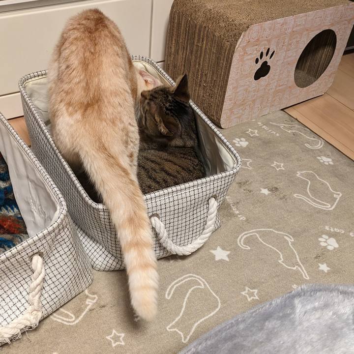 055a2b53 1a60 4d60 a968 dac78a674bad 1697461788184