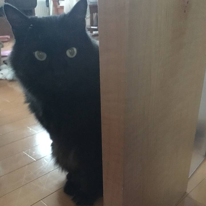 055a430f a1f1 4588 95a1 601dd78065fe 1532345314900