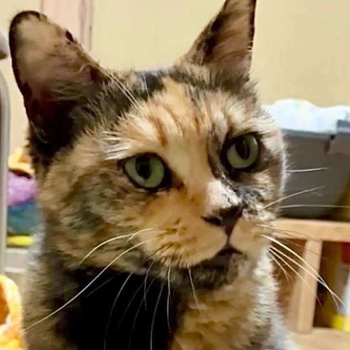 055ab8fb d594 48a6 9a92 c1b2876c5259 1753474617171