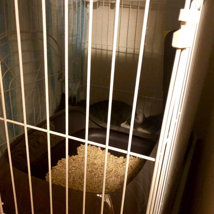 055af40e 4e48 4e34 ac2b 19ce6aec3cd7 1540028015731