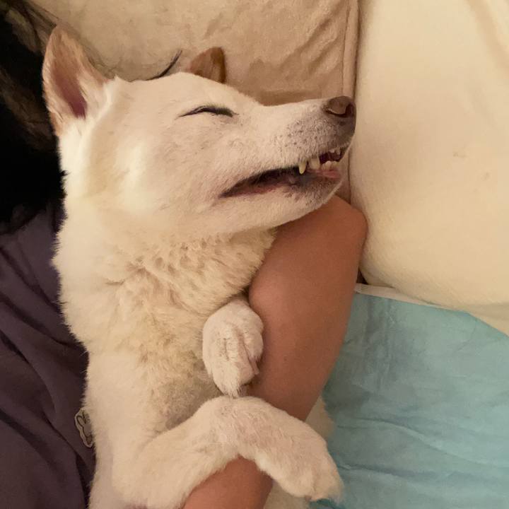 055b0bae 1928 4cc4 82d1 d82e9ad8b511 1668560574681