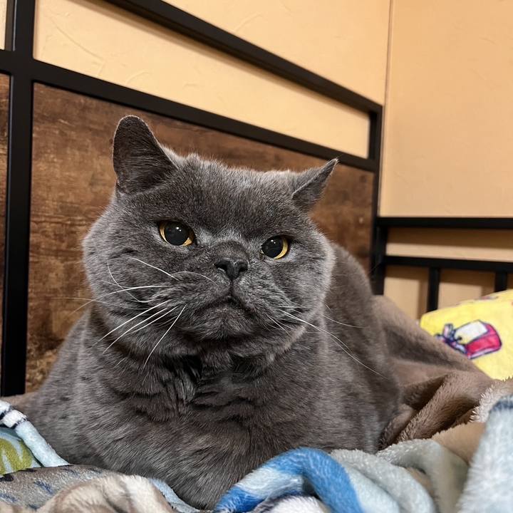 055b2f7c 8673 4616 aed7 011508e6d92e 1773475723288