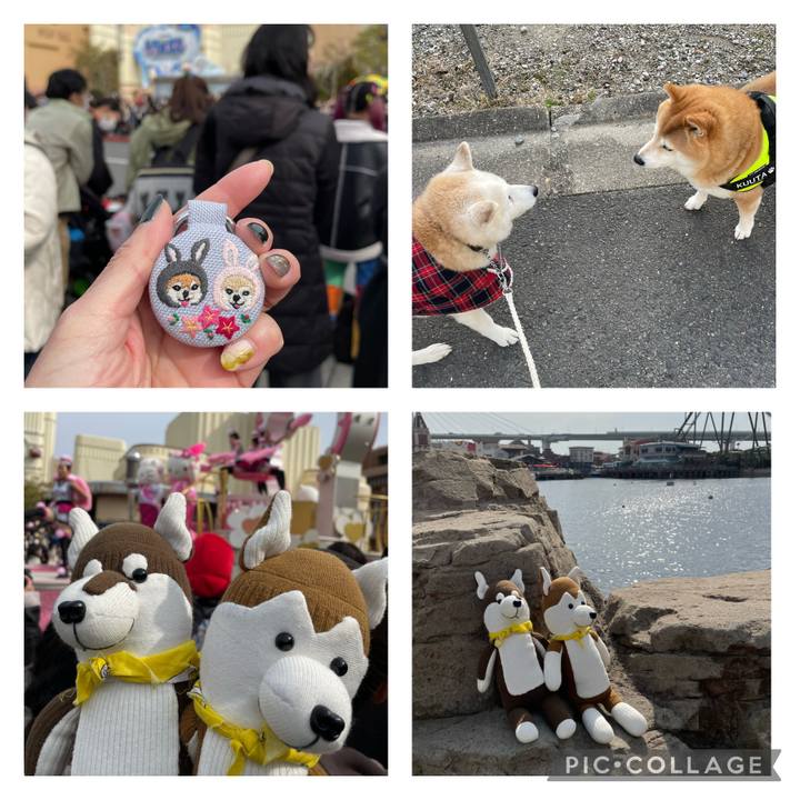 055b6283 31d2 47ee bc1f ae97e9324c4c 1677914387296