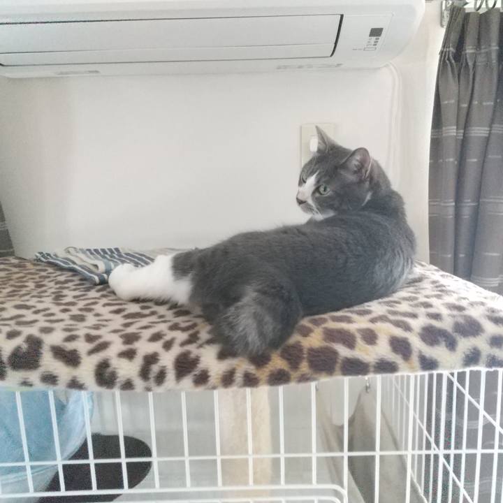 055b6691 ed27 4872 8353 a7adddeefd99 1628830650619