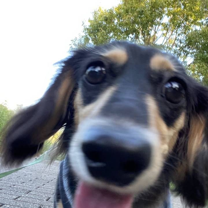 055b902d 2e2a 4238 ada7 998c138f7c0c 1695682150753