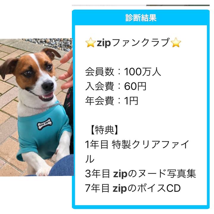 055ba1d2 b8e4 4b3a 8c69 796397765fc2 1568373846110