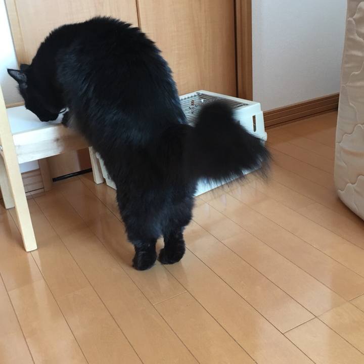 055bd4fc 24f5 4fb3 895b a1a78bc6b488 1517019530172