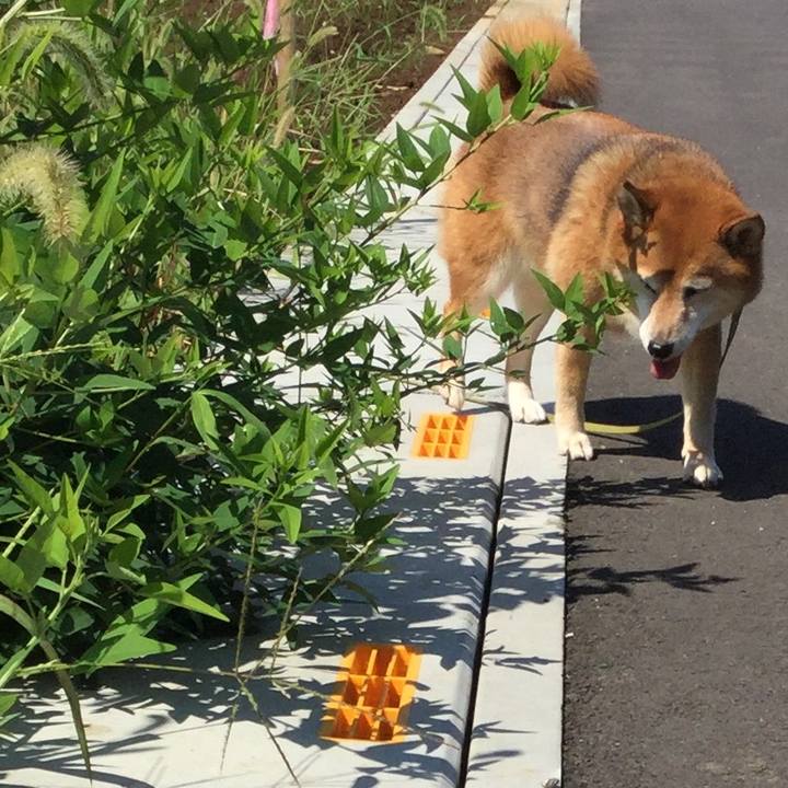 055be0c9 f0ae 4544 8190 41ac76030280 1596264866778