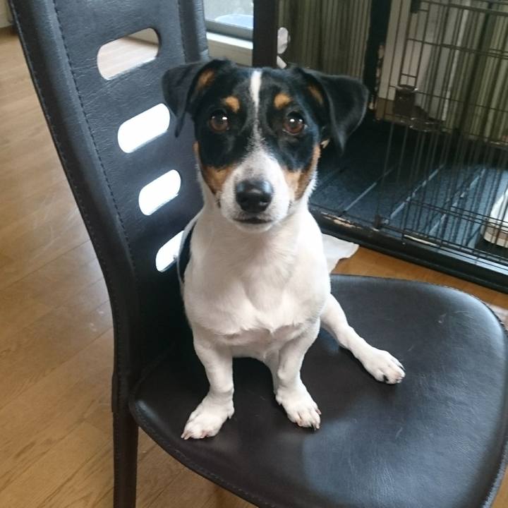 055bec02 a4b2 4b7b bca7 f244ac3332e3 1535067235009