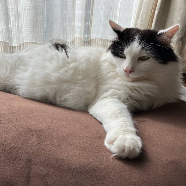 055c0fb0 79e0 4d1d b865 4216897a8b57 1762218824298