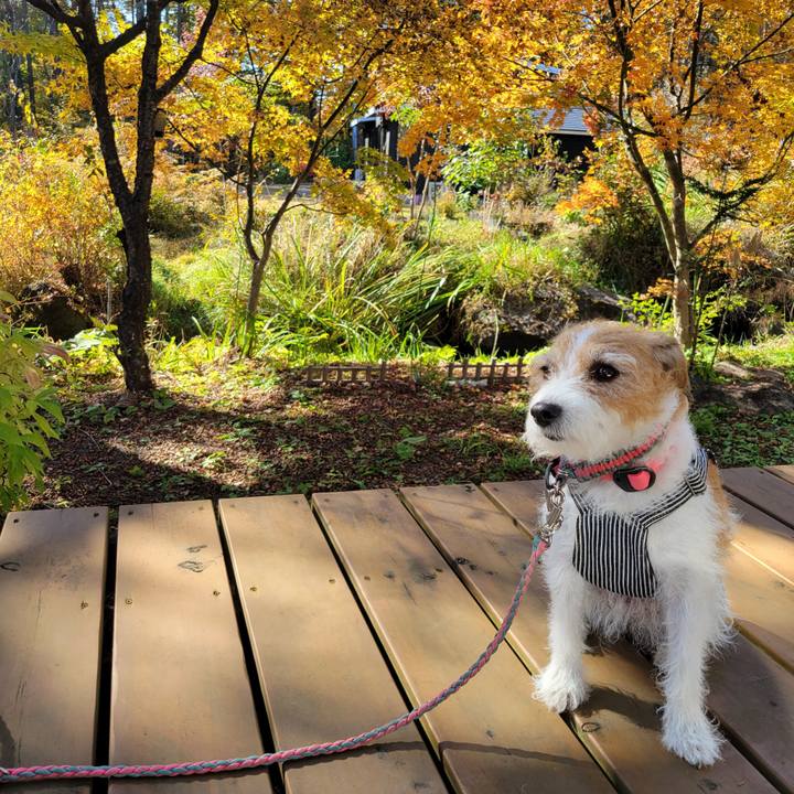 055c4bcb 1e00 454f 960d 6480c27db421 1698902749946