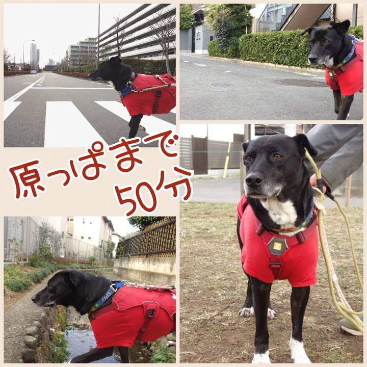 055c874d 8e69 4a35 b1d5 f39bd095ece0 1675387976941