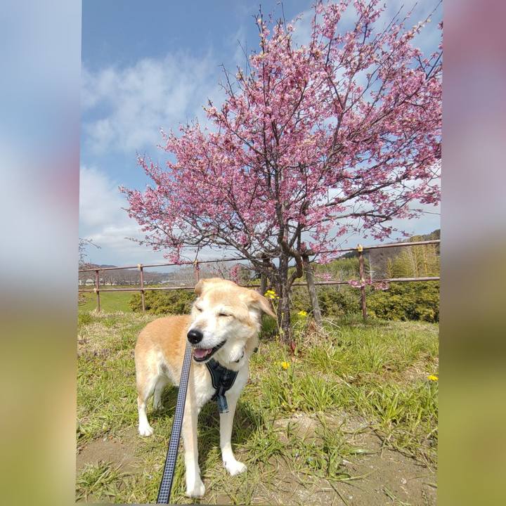 055cc85d ed5d 4b05 8b37 2871348caa9b 1647418009965