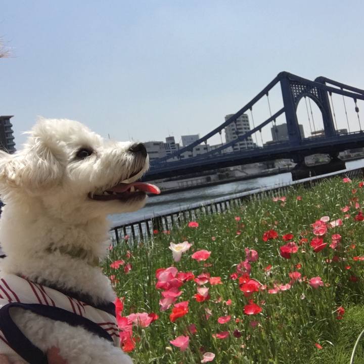 055cc984 549f 4140 8cfd b07180c5499e 1524201755571