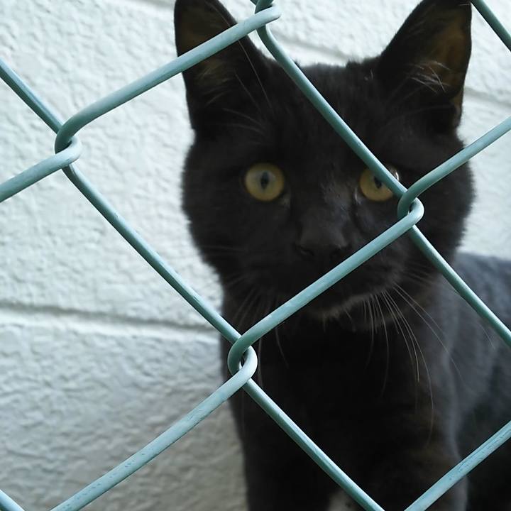 055d03fd 1d74 478c b463 9468db649f99 1549436913950