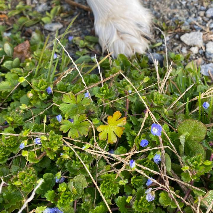 055d07d6 ccc6 49fb a08d b56e3ab00f96 1613002124442