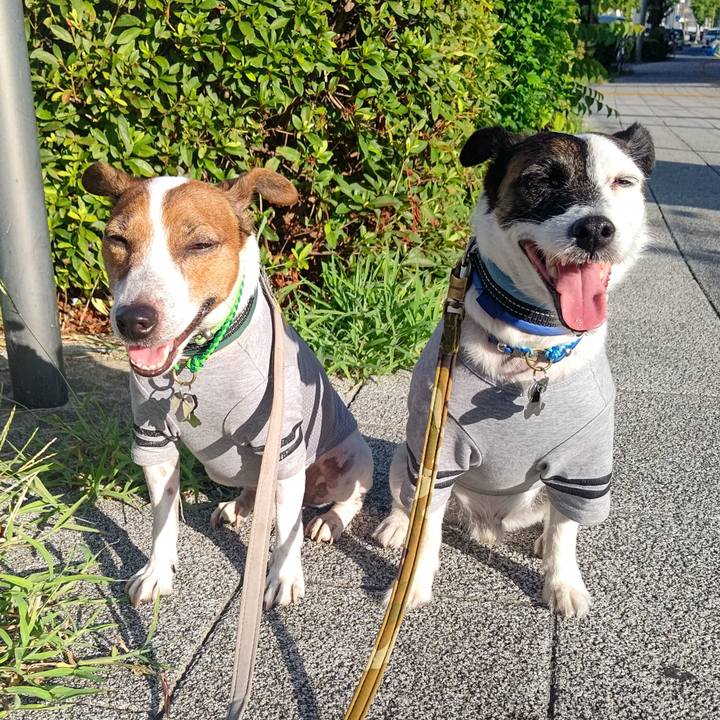 055d3902 d12b 4cd0 a9b8 3357bdc9d081 1693346896430