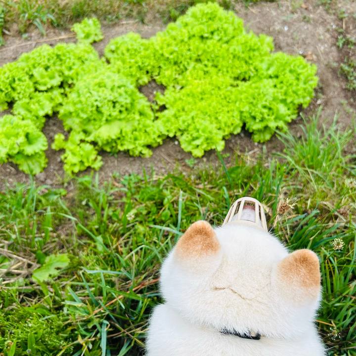 055d411d 472c 4353 ae8b 3737d944a8bd 1751667028525