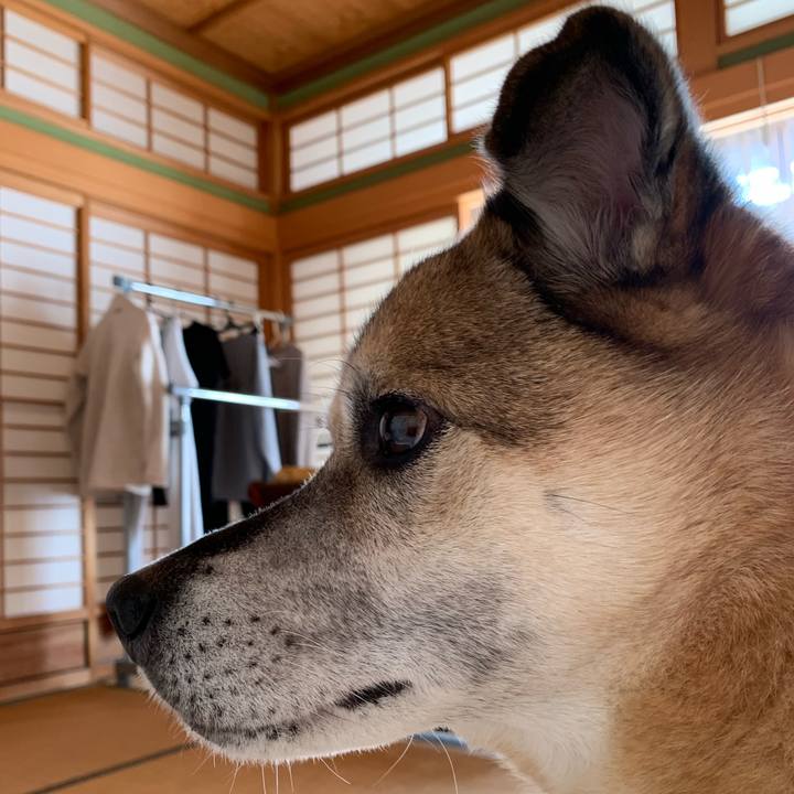 055d4291 20c6 47d0 8793 77d1be82d79a 1640916208735