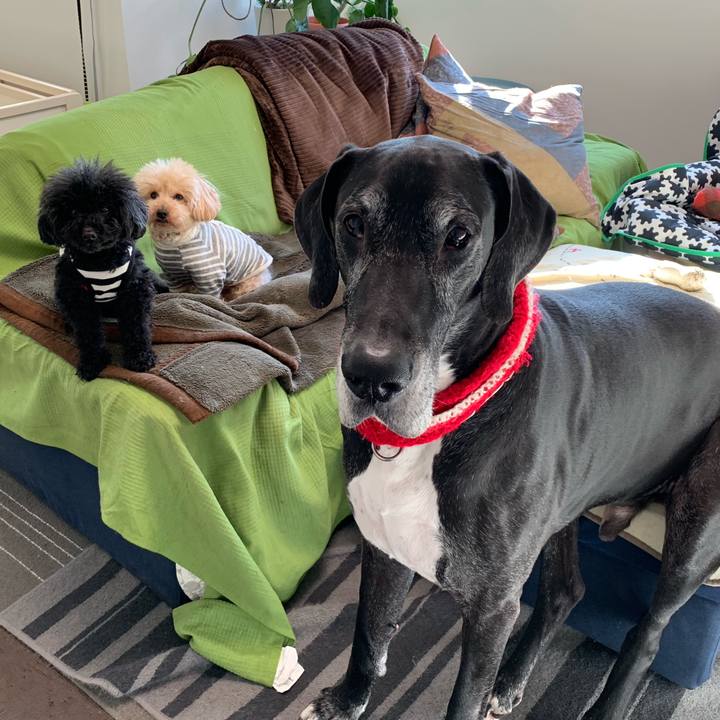 055d5388 7f62 459e 9d89 635c7c200bd1 1551999191240