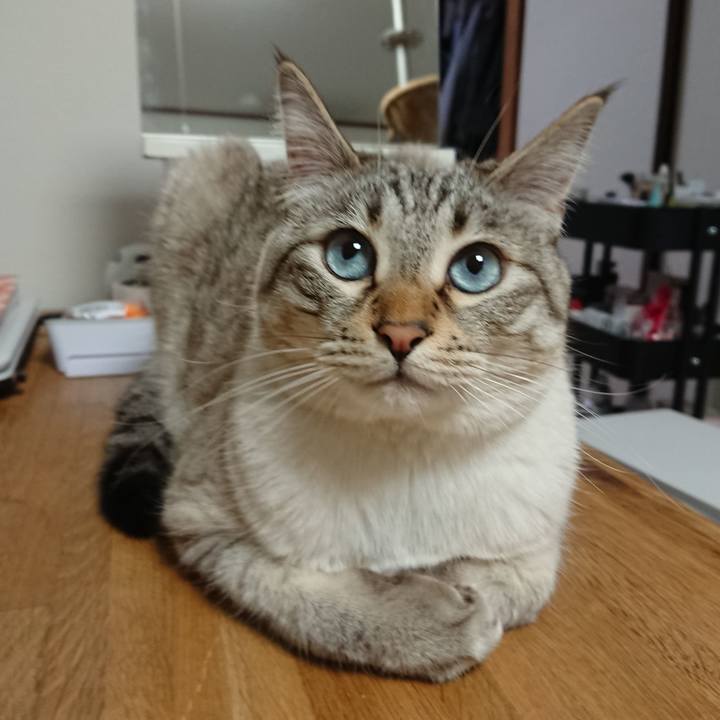 055d59b7 16a3 4e8b bd08 ba6f2ff6a3df 1556019070371