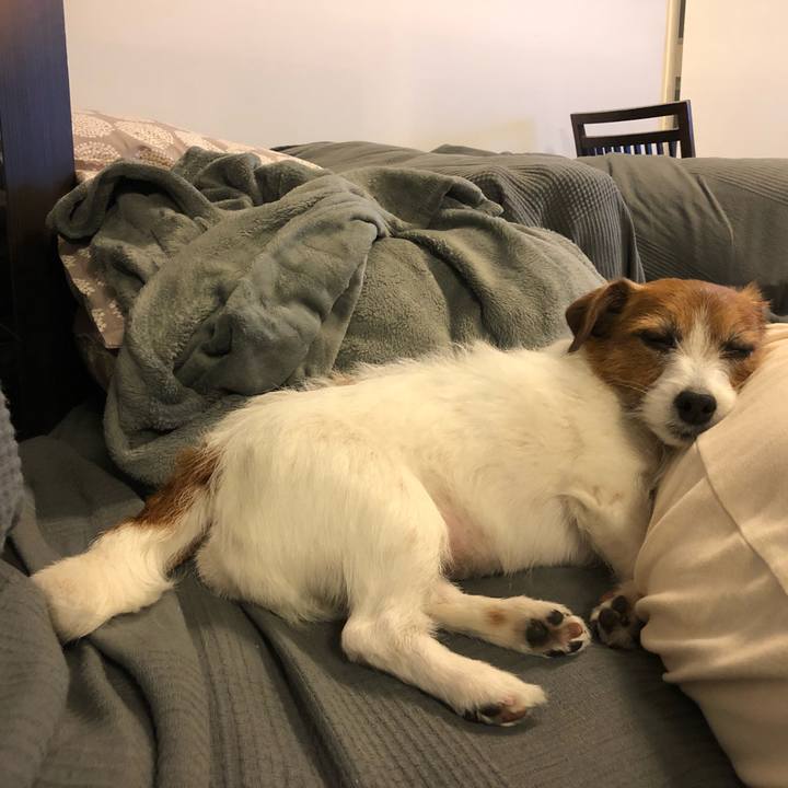 055d7199 fa62 4b3f a7be 63df1e96feca 1588509412164