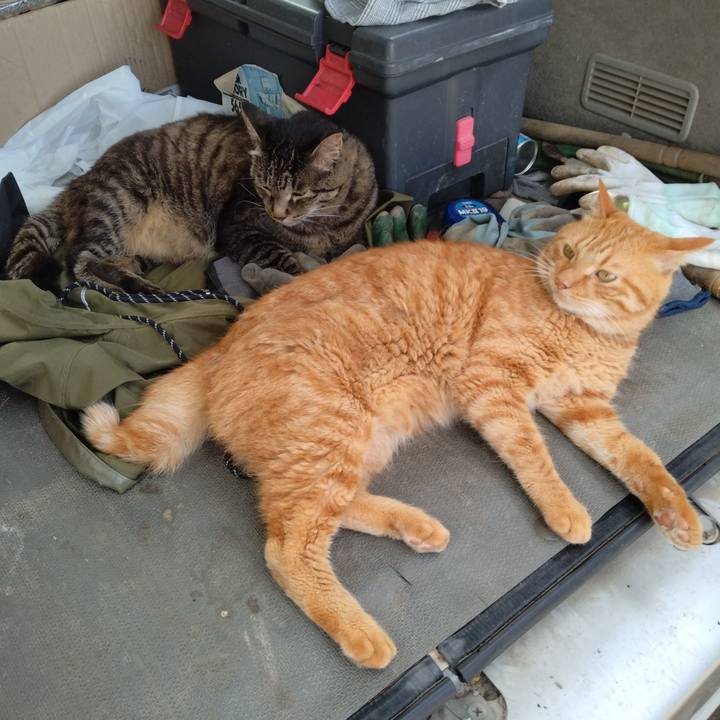 055da05b db13 4b65 93e9 271b5f705be6 1722418007381