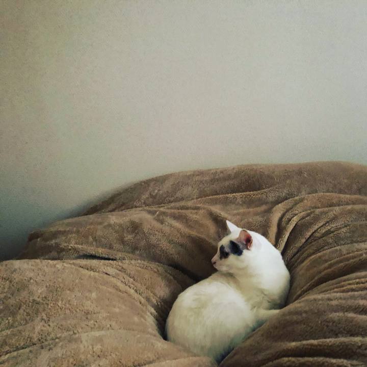 055dae0b c628 4be1 988d 76643ab3f34a 1552915265503