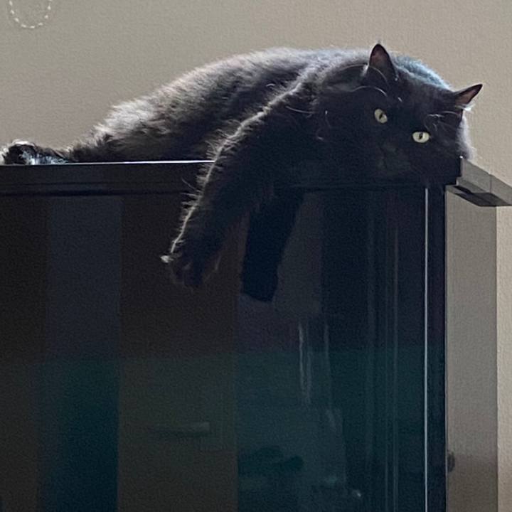 055de19d 198e 4775 bbf9 5620493dc620 1595469962196