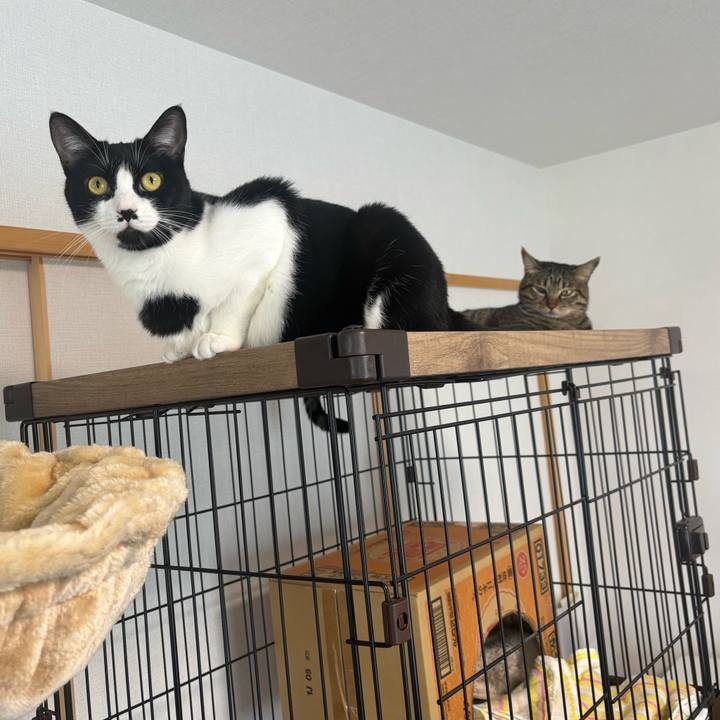 055debeb aeb1 4b79 965f ab90086947b0 1759366857658