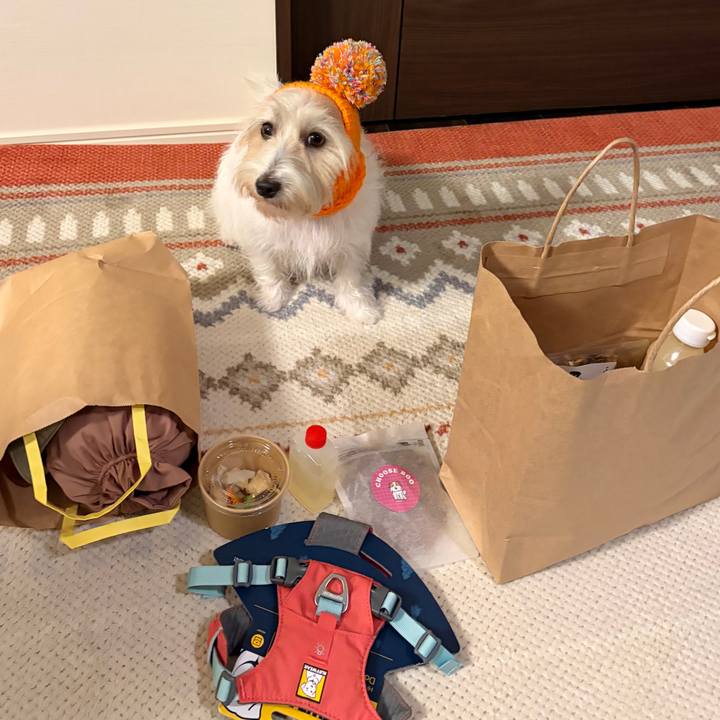 055e4681 4c4d 4a62 bcbc 8507ff794ad2 1768034032328