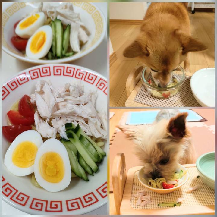 055e52f7 4297 4fd4 86b5 5b01e14a5226 1658150509062