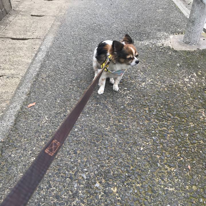 055e5a7c 61c6 4a66 98d0 6d4f7bbb47d2 1529191906930