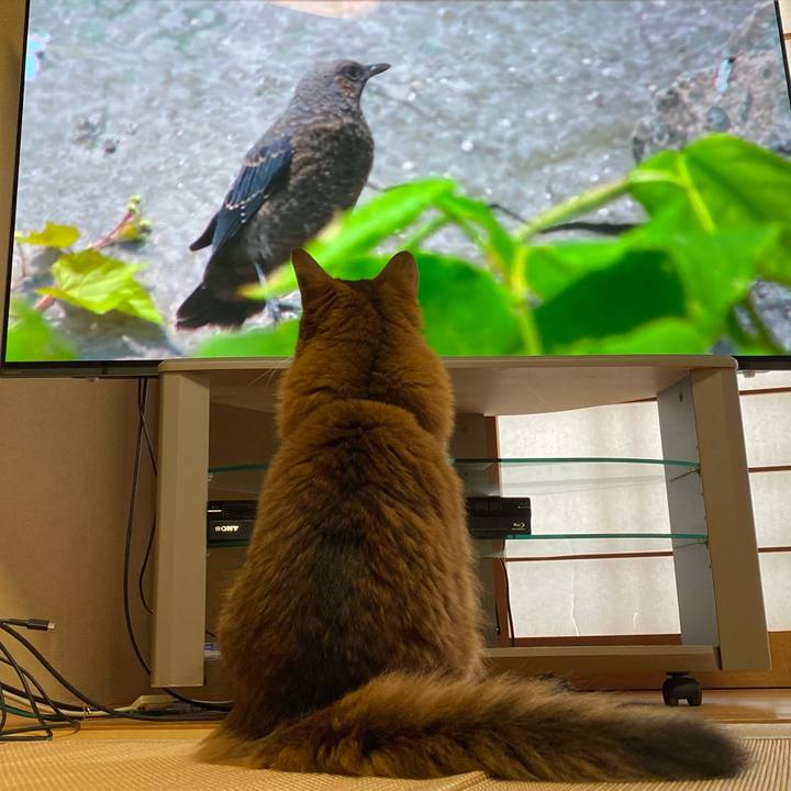 055e6b9c e2e2 4909 8d3a e6d5c114d9fc 1658383317946