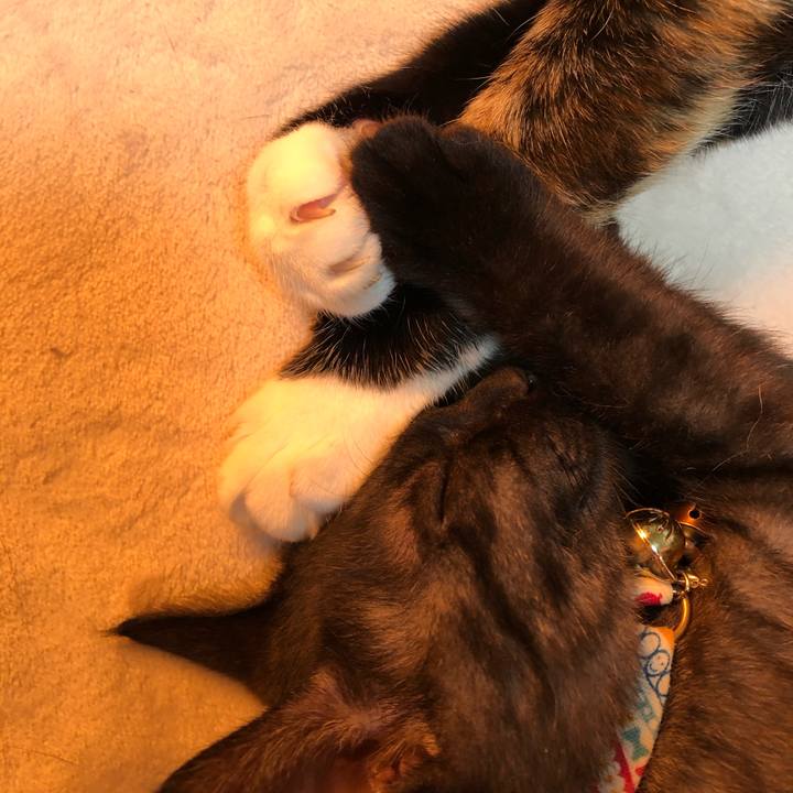 055ec576 8b84 4c81 8615 0b94a224d381 1609613629639