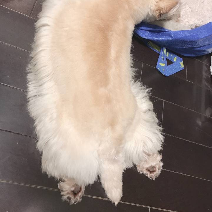 055edb58 fdfc 4285 8a3d 4589b4997472 1557160932730