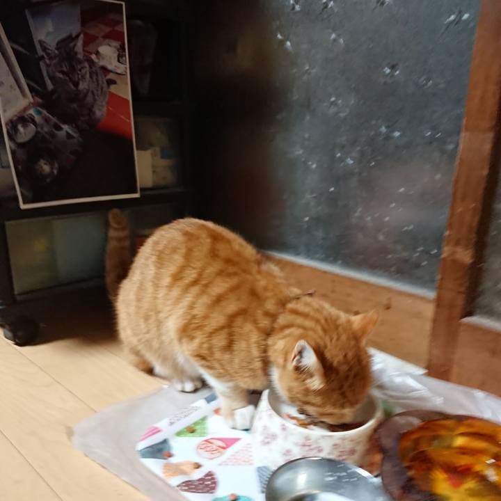 055ef825 fb4e 42ec b588 13ddd1542837 1604866210267