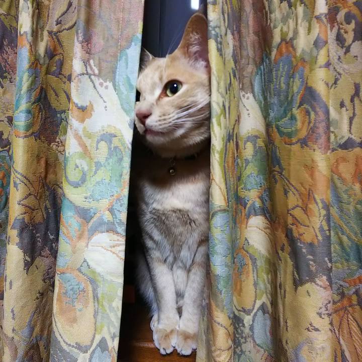 055f390a 0983 4557 8d21 5bd8a17afb41 1606040962740